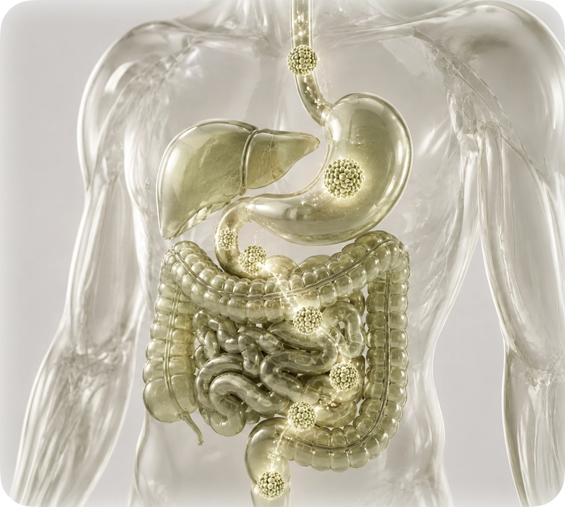 Liposomal technology